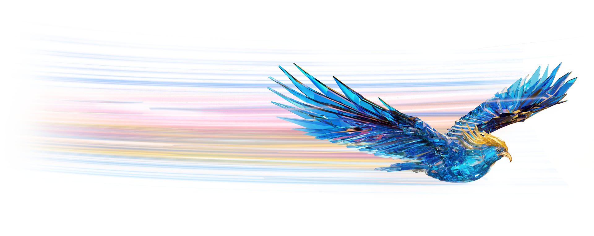 Pose of bird in flight
