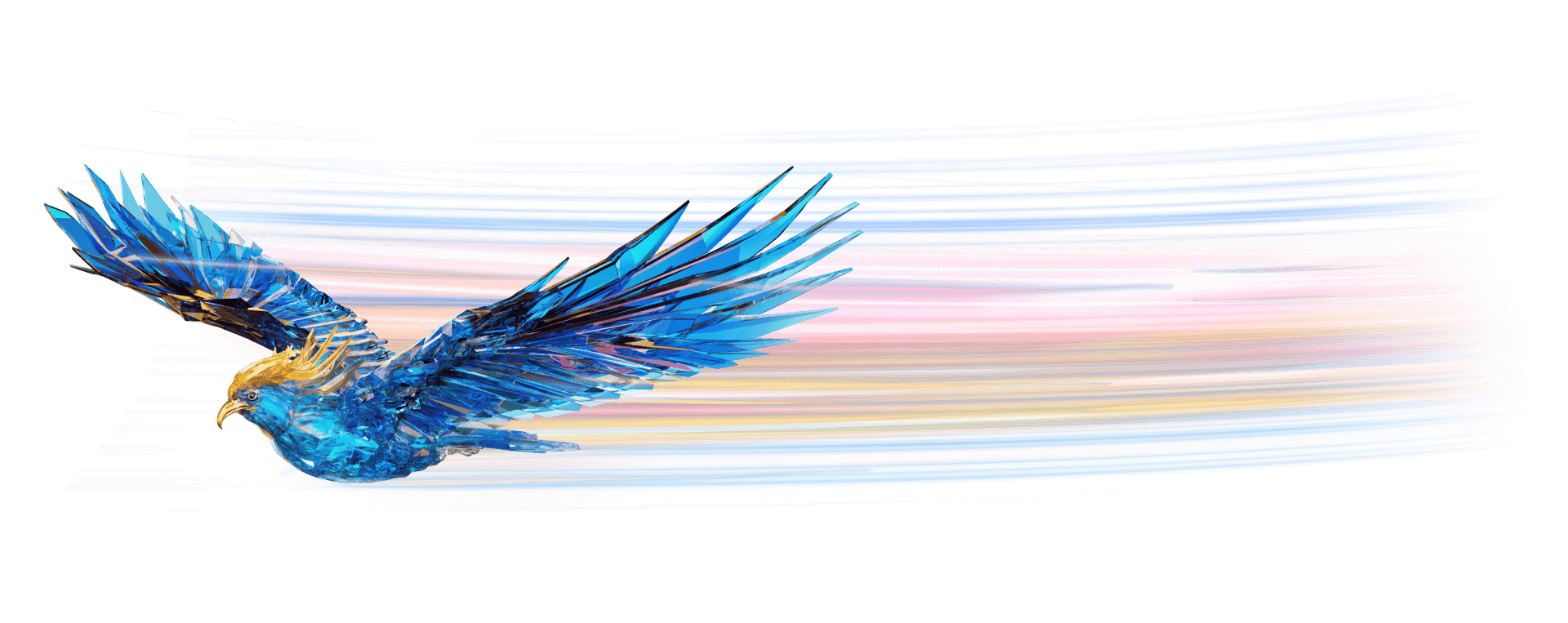 Pose of bird in flight