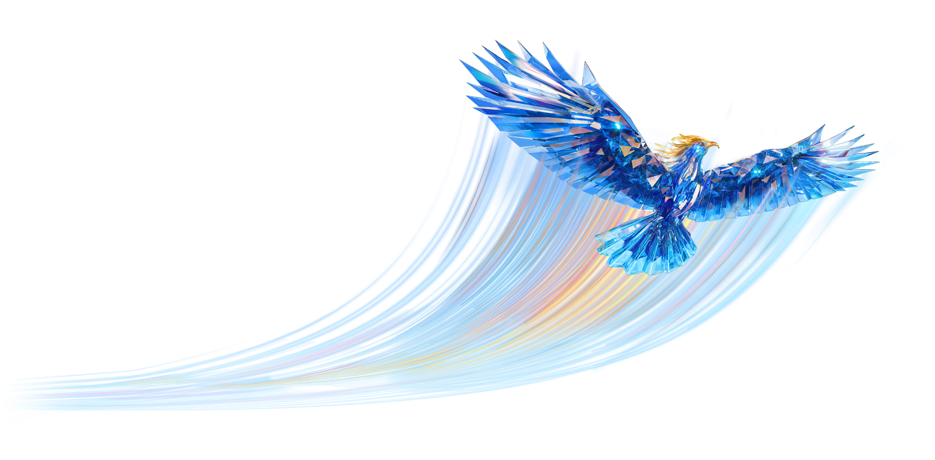 Pose of bird in flight