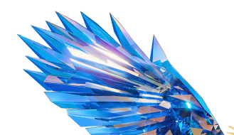 Pose of bird's wing