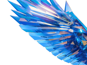 Pose of bird's wing