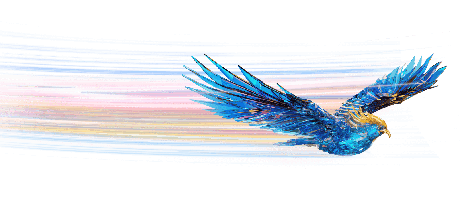 Pose of bird in flight
