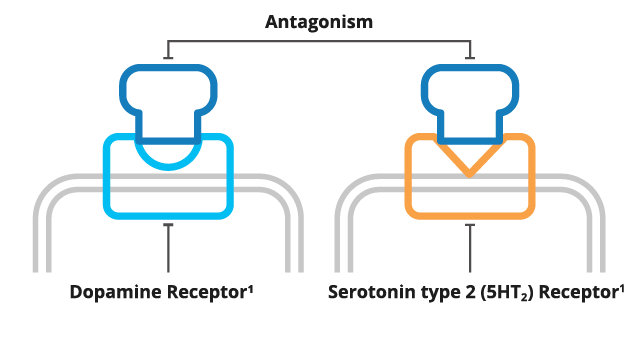 Infographic illustrating olanzapine proposed MOA.