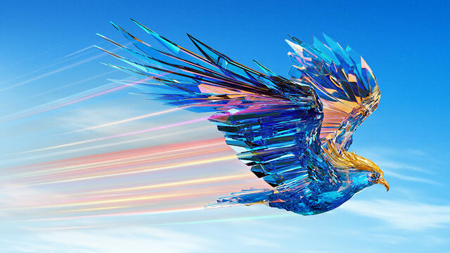 Pose of bird in flight