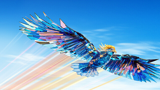Pose of bird in flight