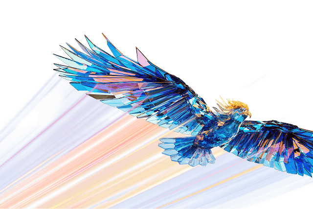 Pose of bird in flight